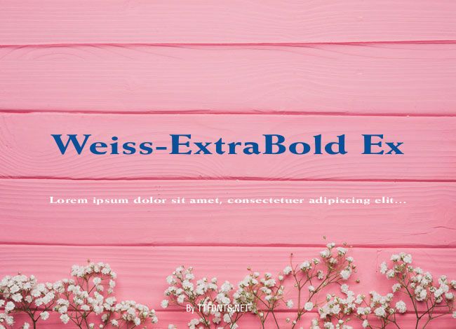 Weiss-ExtraBold Ex example