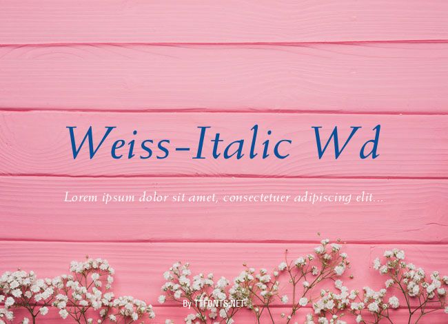 Weiss-Italic Wd example
