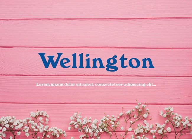 Wellington example