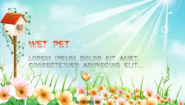 Wet Pet example