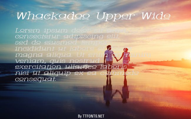 Whackadoo Upper Wide example