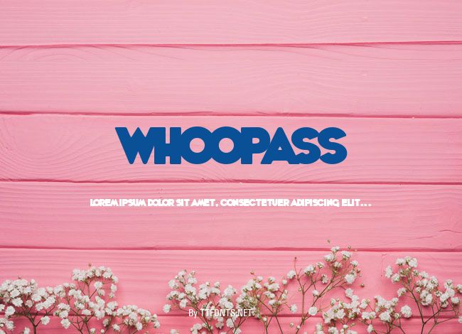 WhoopAss example