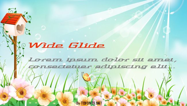 Wide Glide example