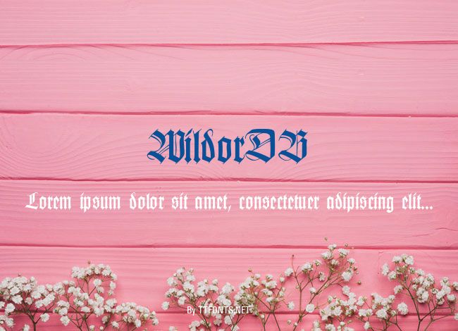 WildorDB example