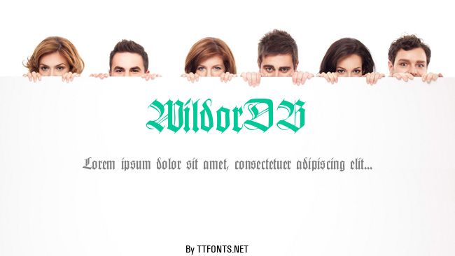 WildorDB example
