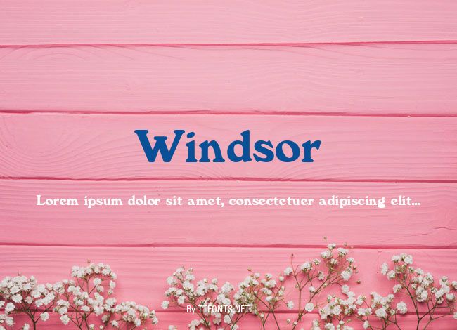 Windsor example