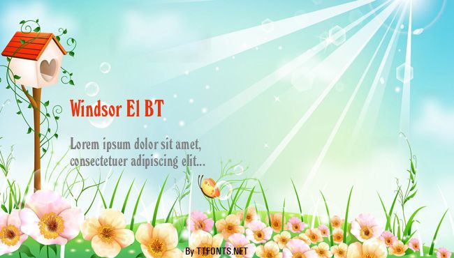 Windsor El BT example
