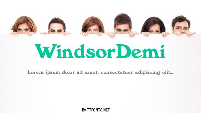 WindsorDemi example