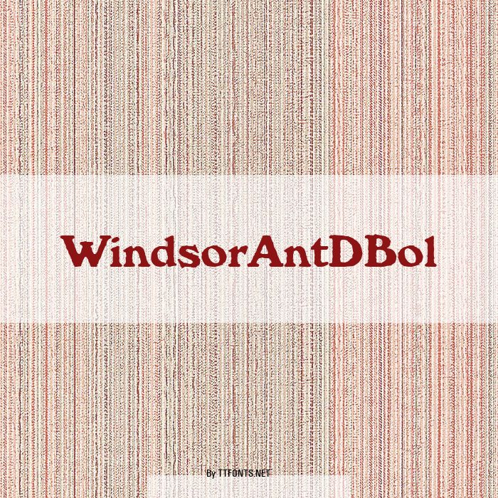 WindsorAntDBol example