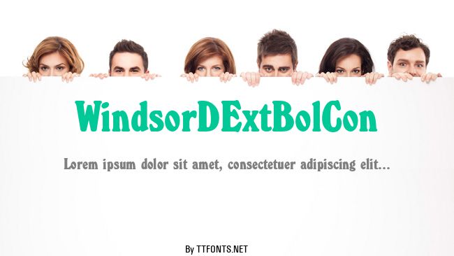 WindsorDExtBolCon example