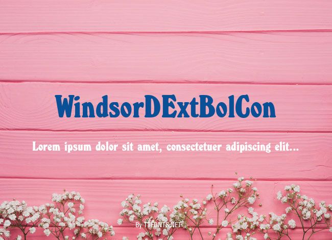 WindsorDExtBolCon example
