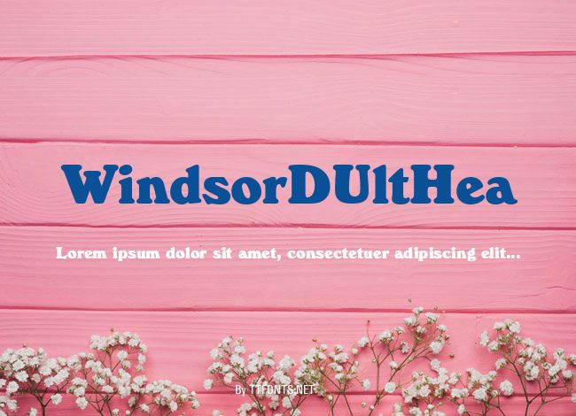 WindsorDUltHea example