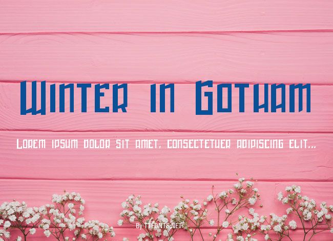 Winter in Gotham example