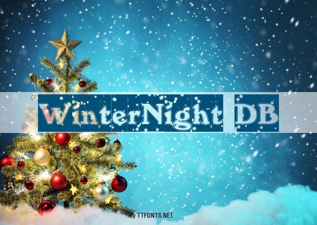 WinterNight DB example