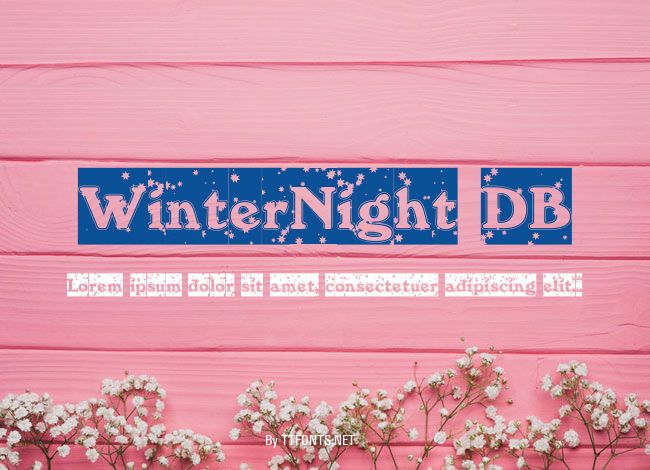 WinterNight DB example