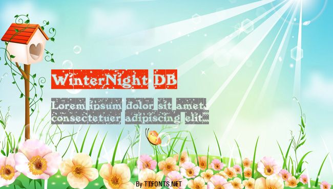 WinterNight DB example
