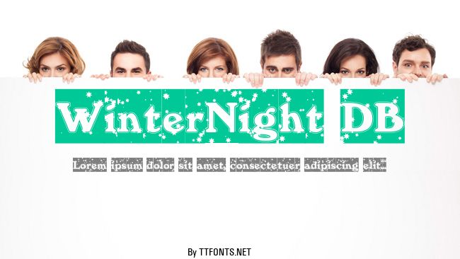 WinterNight DB example