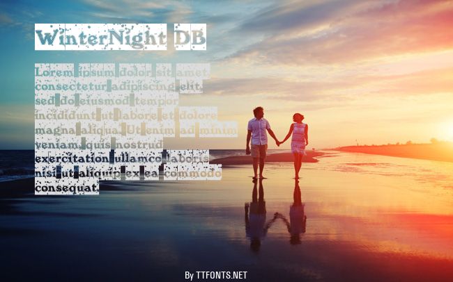 WinterNight DB example