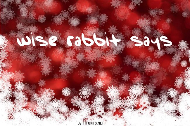 Wise Rabbit Says example