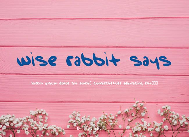 Wise Rabbit Says example