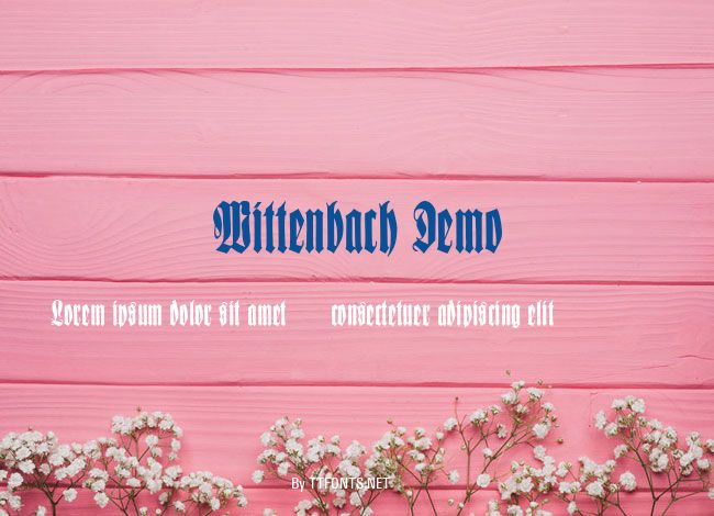Wittenbach Demo example