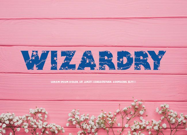 Wizardry example