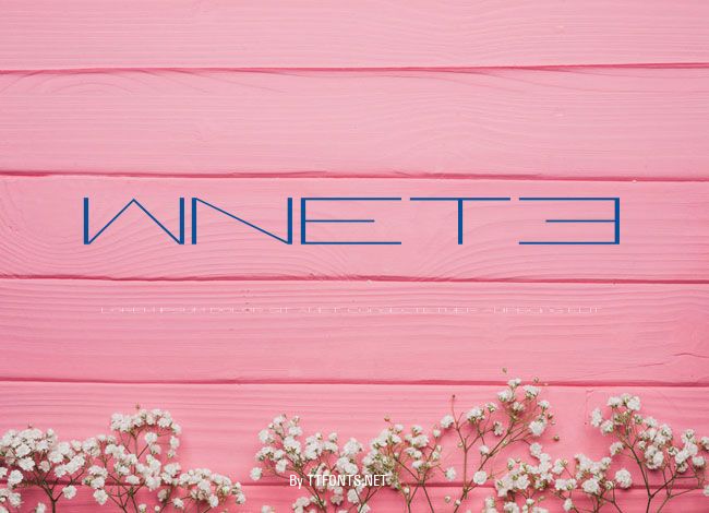 WNET3 example