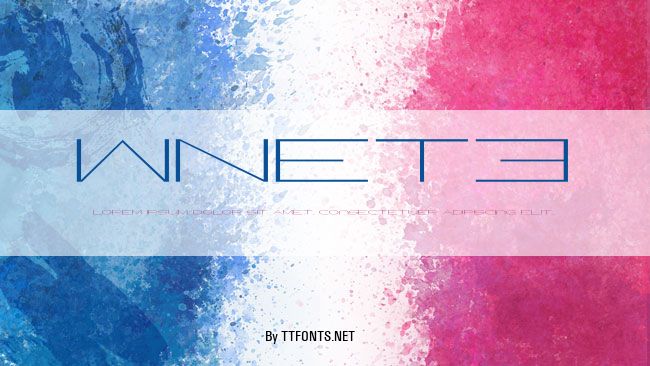 WNET3 example