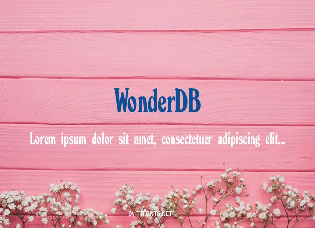 WonderDB example