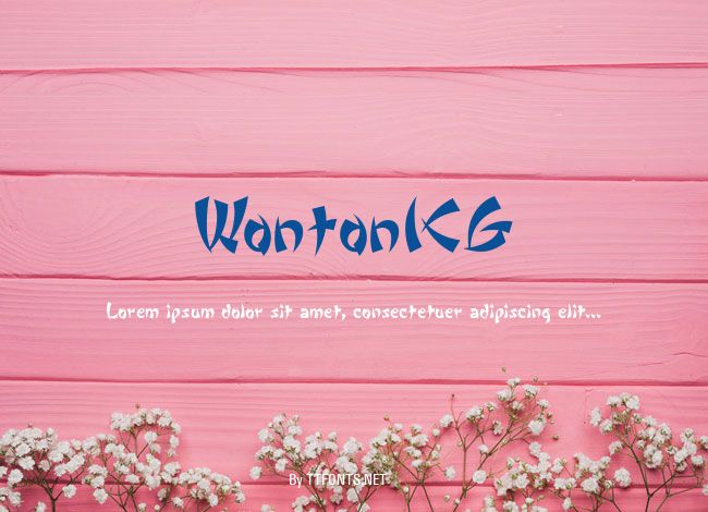WontonICG example