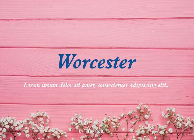 Worcester example