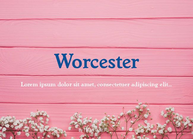 Worcester example