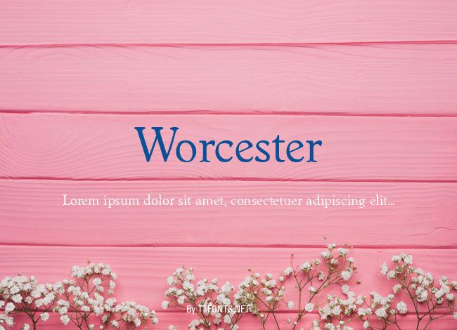 Worcester example