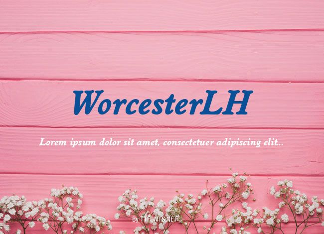 WorcesterLH example