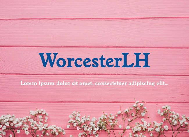 WorcesterLH example