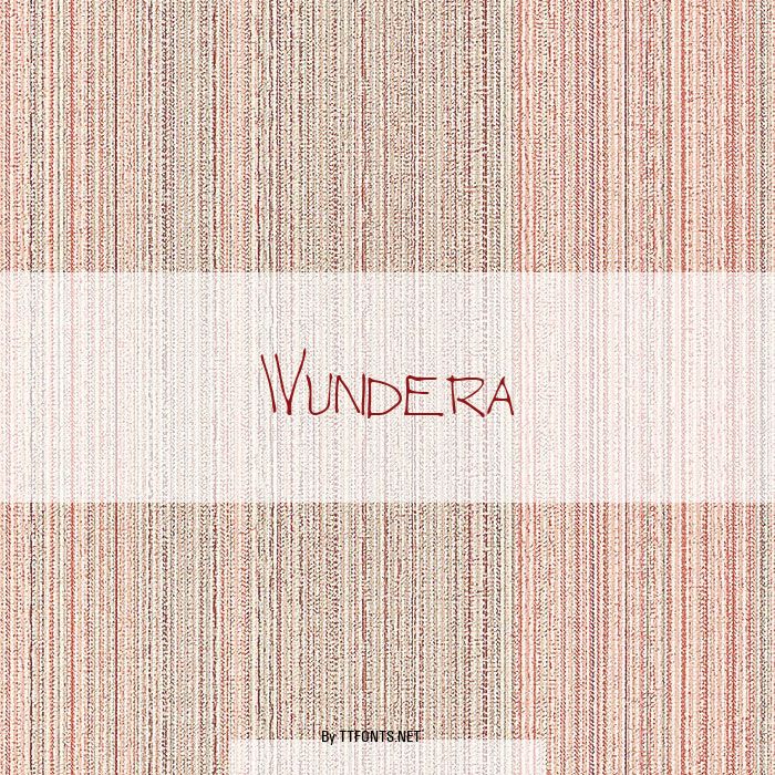 Wundera example