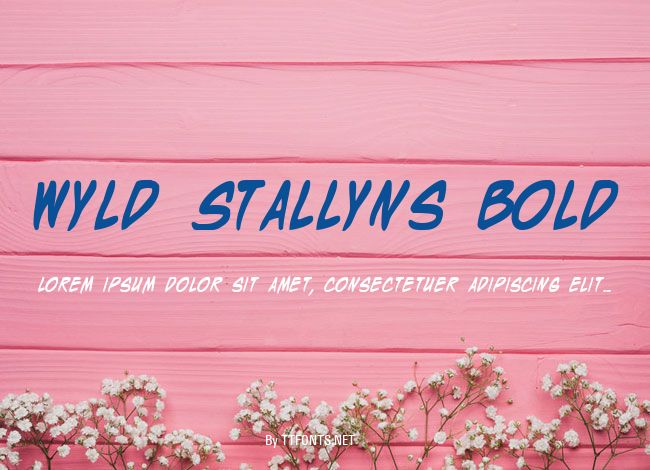Wyld Stallyns Bold example