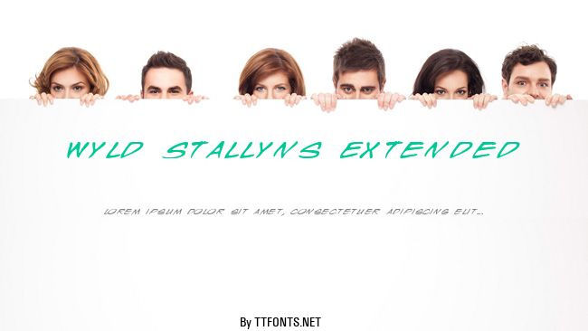 Wyld Stallyns Extended example