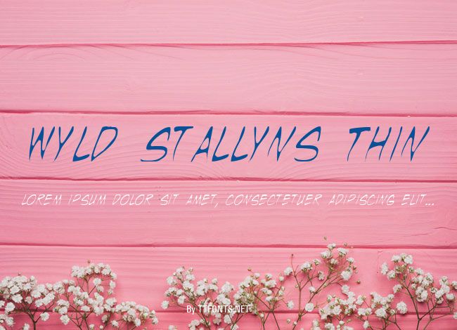 Wyld Stallyns Thin example