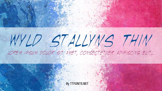 Wyld Stallyns Thin example