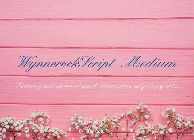 WynnerockScript-Medium example