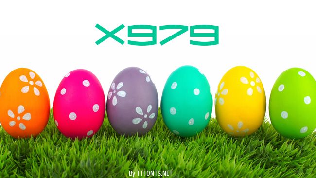 X979 example