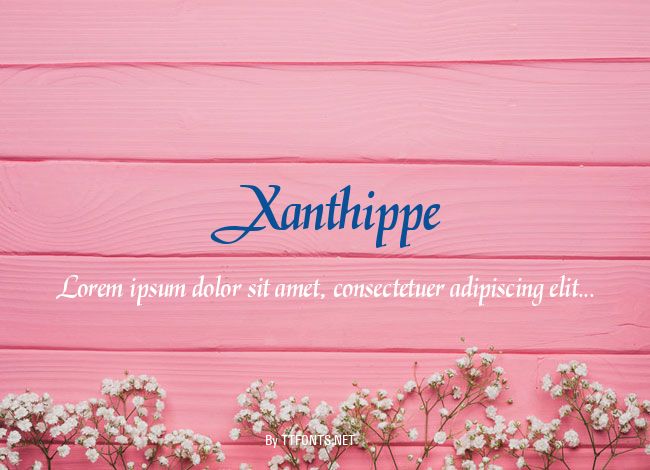 Xanthippe example