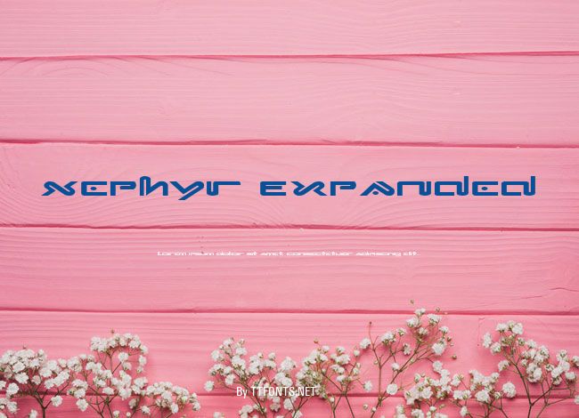 Xephyr Expanded example