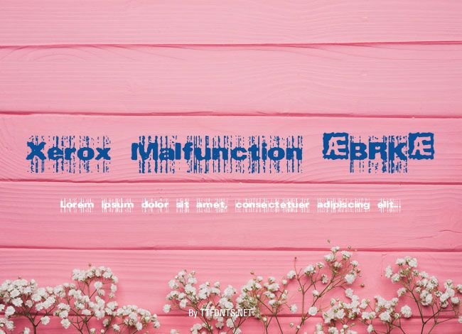Xerox Malfunction (BRK) example