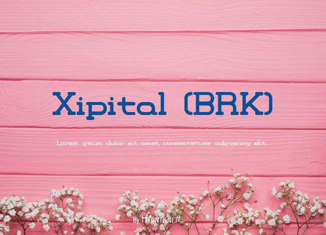 Xipital (BRK) example