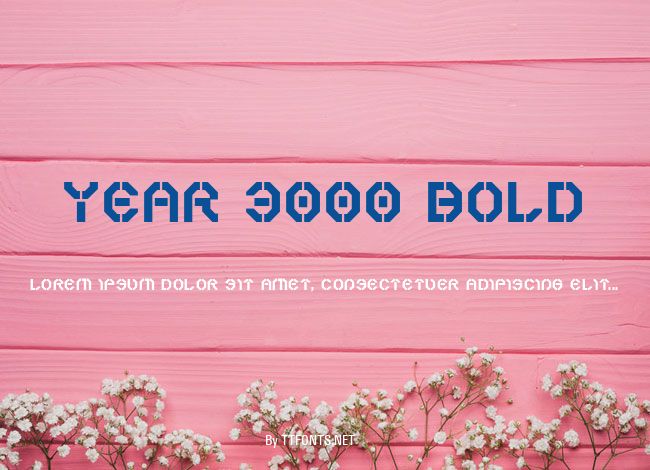 Year 3000 Bold example