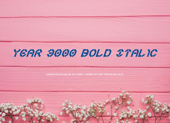 Year 3000 Bold Italic example