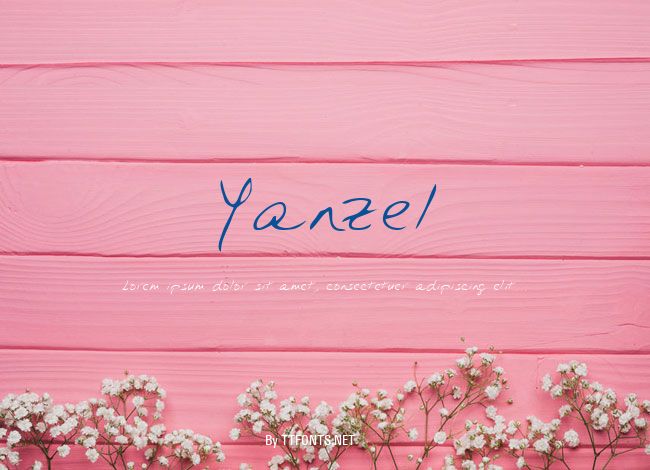 Yanzel example