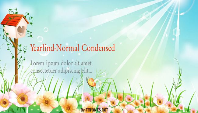 Yearlind-Normal Condensed example